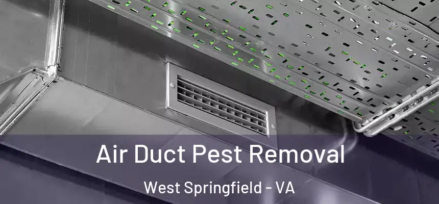  Air Duct Pest Removal West Springfield - VA