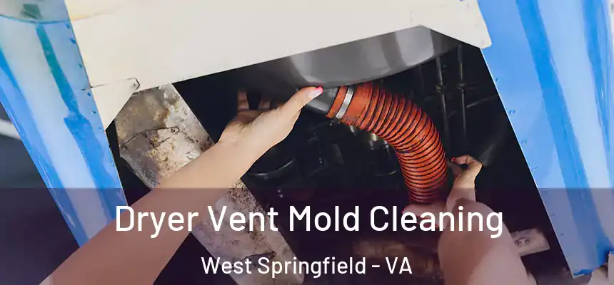  Dryer Vent Mold Cleaning West Springfield - VA
