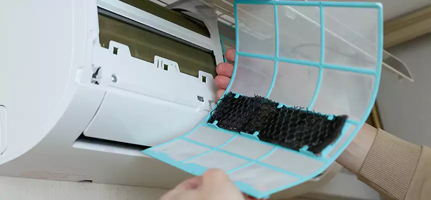 Gentle Ductwork Odor-Control Pet Dander Duct Cleaning in West Springfield, VA