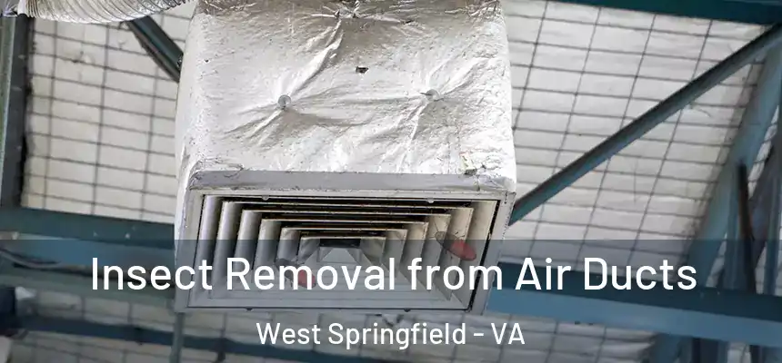  Insect Removal from Air Ducts West Springfield - VA
