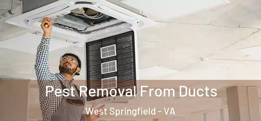  Pest Removal From Ducts West Springfield - VA