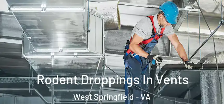  Rodent Droppings In Vents West Springfield - VA