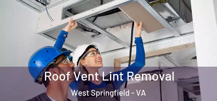  Roof Vent Lint Removal West Springfield - VA