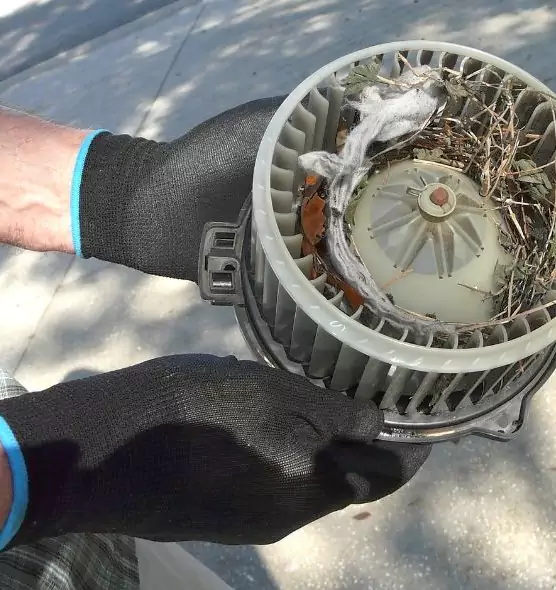 About Air Duct Mice Removal in West Springfield, VA