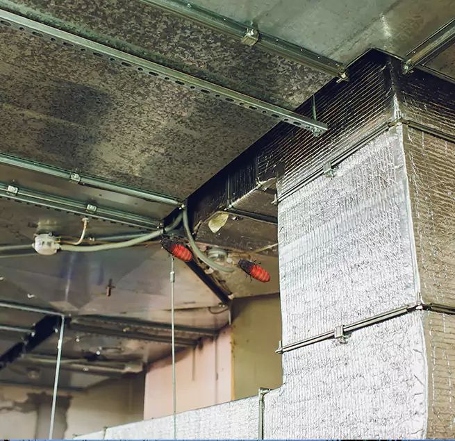 Why Homeowners & Businesses Trust Us in West Springfield, VA?